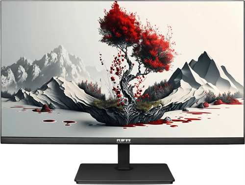 Монитор RDW Computers 23.8" RDW2401K черный IPS 4ms 16:9 HDMI матовая 300cd 178гр/178гр 1920x1080 10 2401K/F00B0100V2A1H