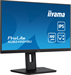 Монитор Iiyama 23.8" ProLite XUB2492HSU-B6 черный IPS LED 0.4ms 16:9 HDMI M/M матовая HAS Piv 250cd  XUB2492HSU-B6