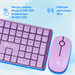Клавиатура + мышь Оклик S315W клав:сиреневый мышь:сиреневый USB беспроводная Multimedia (1978643) 1978643