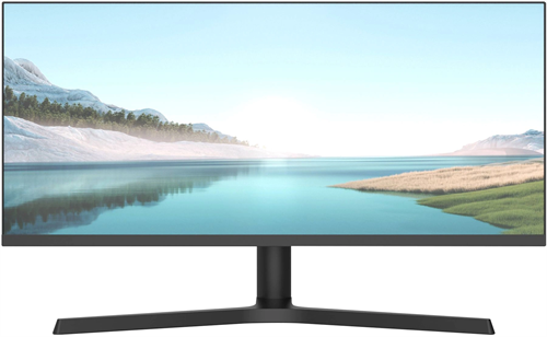 Монитор NPC 29" MZ300L черный IPS LED 21:9 (Ultrawide) HDMI M/M матовая HAS 1000:1 250cd 178гр/178гр MZ300L