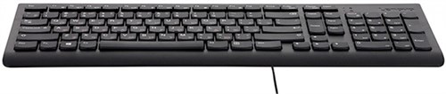 Клавиатура Lenovo 300 черный USB для ноутбука GX30M39684