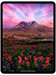 Планшет Apple iPad Pro 2024 A2836 M4 9C RAM8Gb ROM256Gb 11" OLED 2420x1668 iOS черный космос 12Mpix  MVV83LL/A