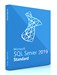 ПО Microsoft SQL Server Standard 2019 English DVD 10 Clt (228-11548) 228-11548