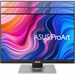 Монитор Asus 24.1" ProArt PA248QV черный IPS LED 16:10 HDMI M/M матовая HAS Piv 300cd 1920x1200 75Hz 90LM05K1-B01370