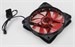 Вентилятор для корпуса Digma DFAN-LED-RED RGB 120х120x25 черный 3-pin 4-pin (Molex) 23дБ Ret DFAN-LED-RED