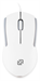 Мышь Оклик 245M белый оптическая 1000dpi USB 3but (471480) 471480